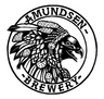 Amundsen logo
