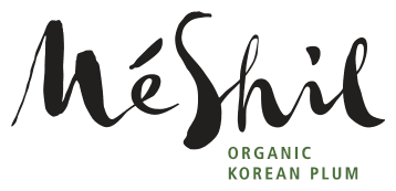 MESHIL logo