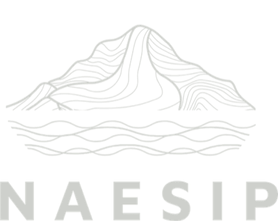 Naesip logo