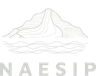 Naesip logo