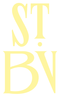 St. Buena Vida logo
