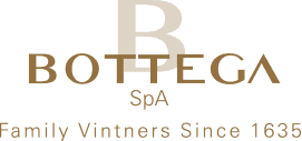 Bottega logo