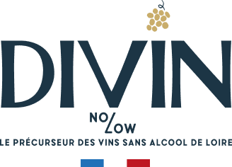 Divin logo