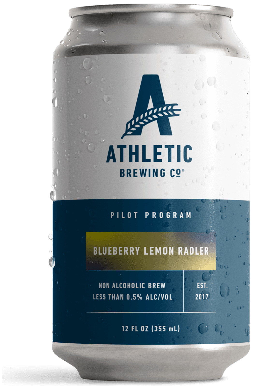 Blueberry Lemon Radler