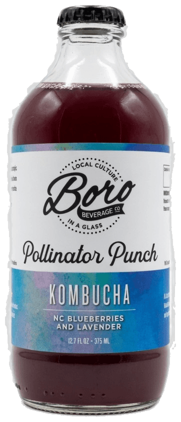 Pollinator Punch Kombucha