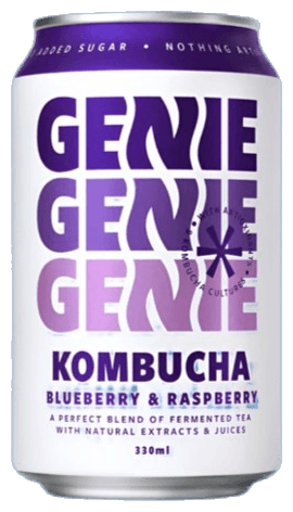 Blueberry & Raspberry Kombucha Soda